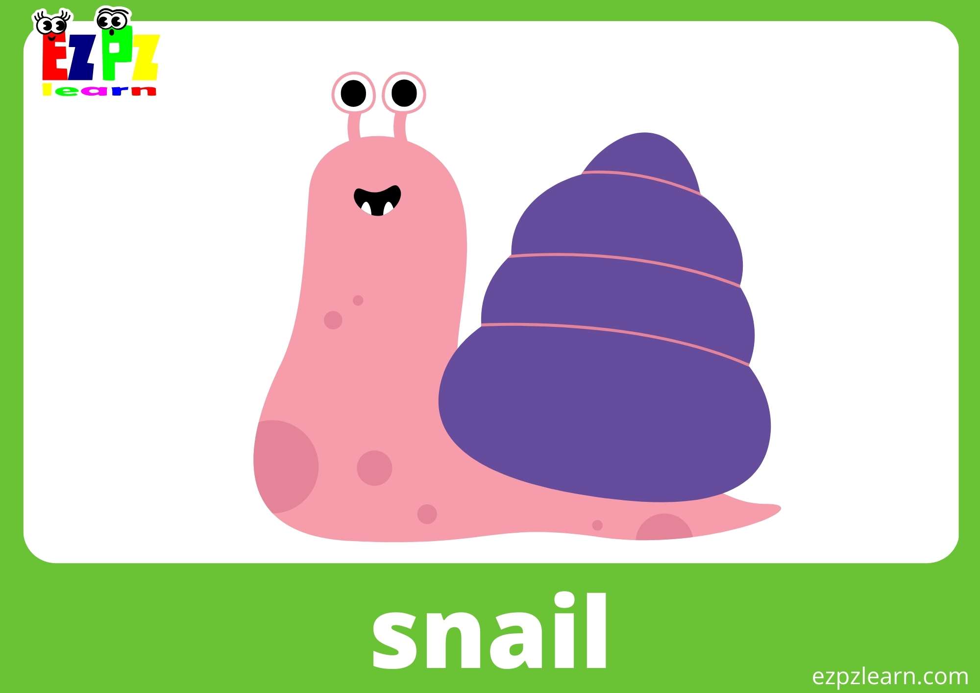 Snail